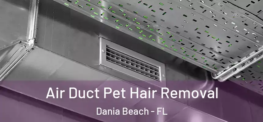 Air Duct Pet Hair Removal Dania Beach - FL