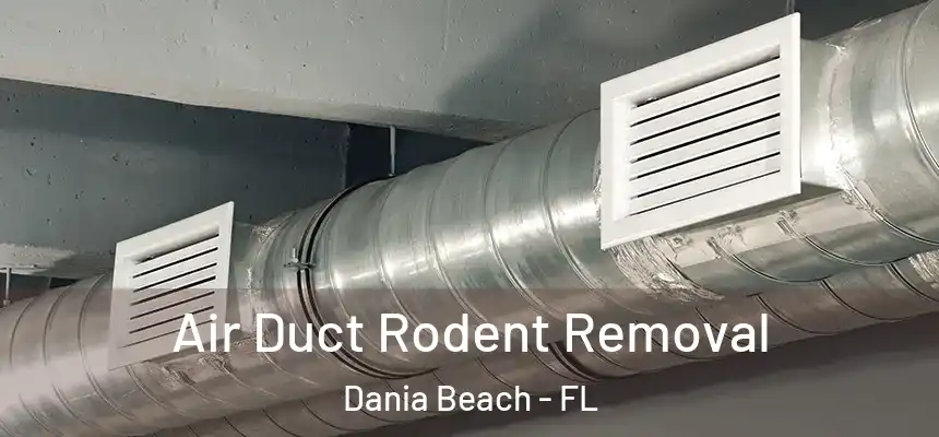 Air Duct Rodent Removal Dania Beach - FL