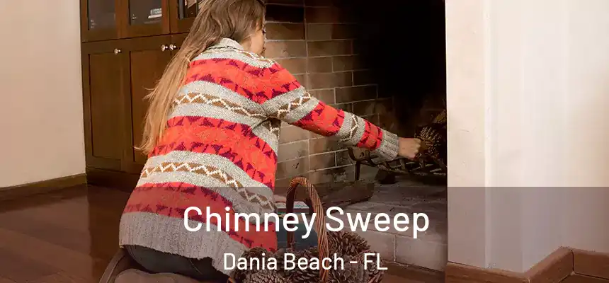  Chimney Sweep Dania Beach - FL