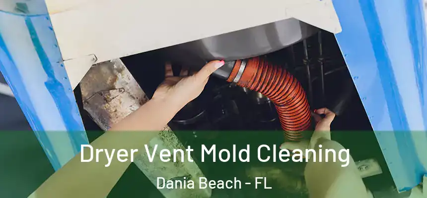 Dryer Vent Mold Cleaning Dania Beach - FL