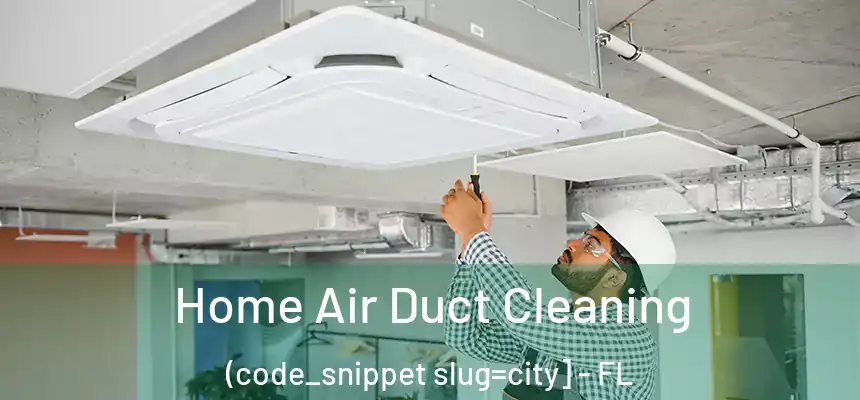 Home Air Duct Cleaning (code_snippet slug=city] - FL