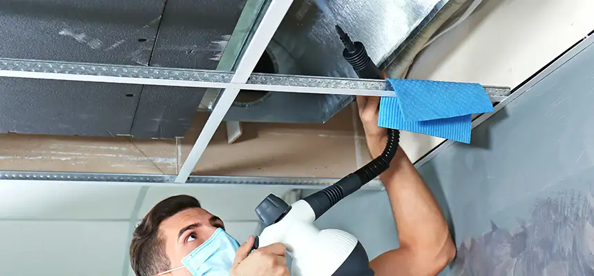 Our Air Duct Rodent Removal Services in Dania Beach, FL