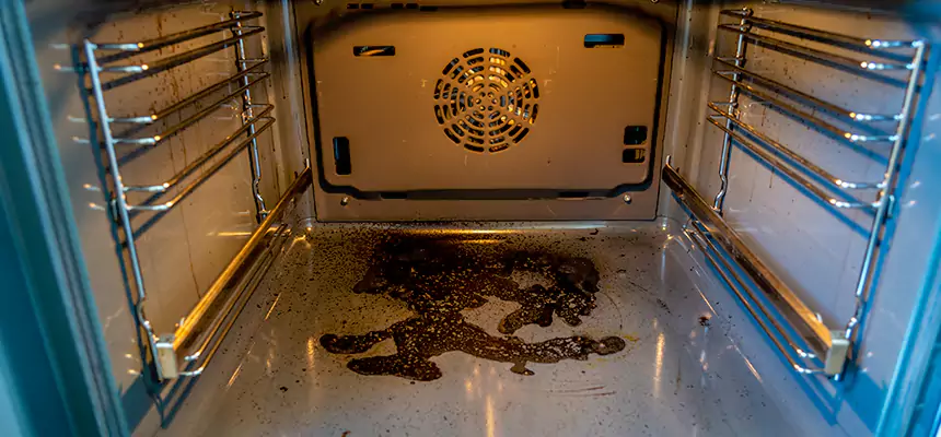 Our Dryer Vent Mold Cleaning Services in Dania Beach, FL