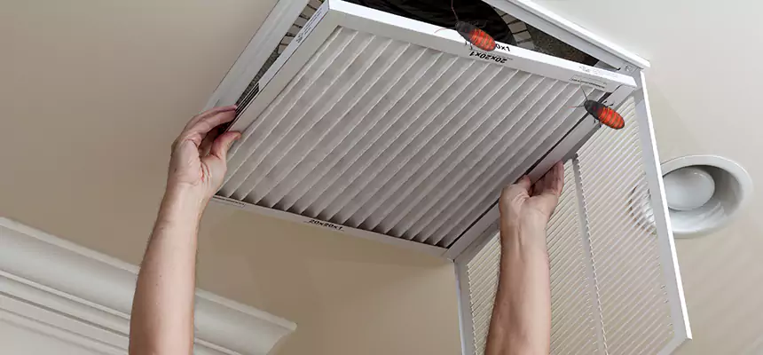 Our Insect Removal from Air Ducts Services in Dania Beach, FL