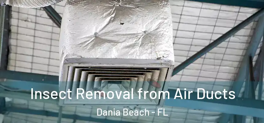 Insect Removal from Air Ducts Dania Beach - FL