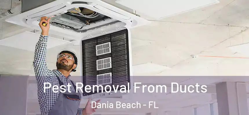  Pest Removal From Ducts Dania Beach - FL