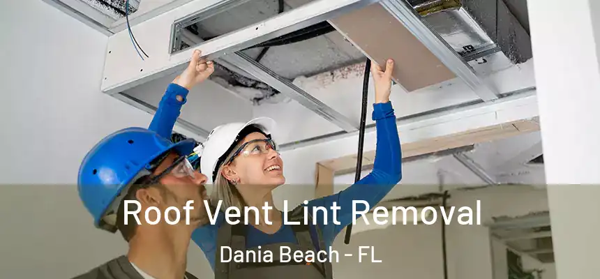 Roof Vent Lint Removal Dania Beach - FL