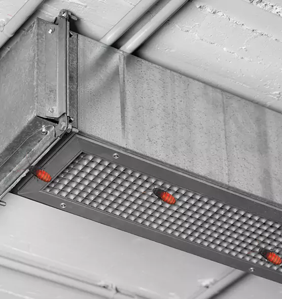 About Air Duct Cockroach Removal in Dania Beach, FL