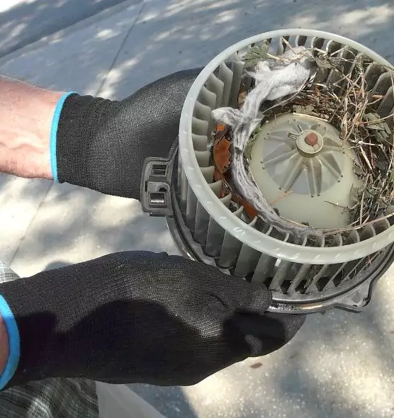 About Air Duct Mice Removal in Dania Beach, FL