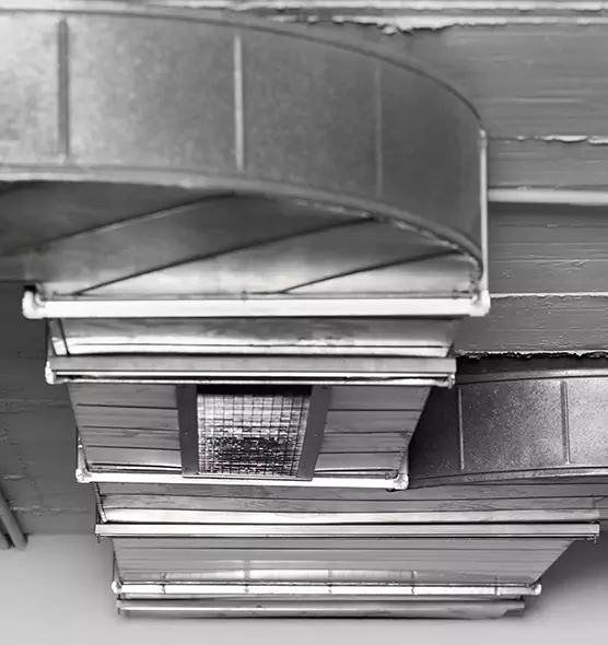 Professional Air Duct Pet Hair Removal in Dania Beach, FL