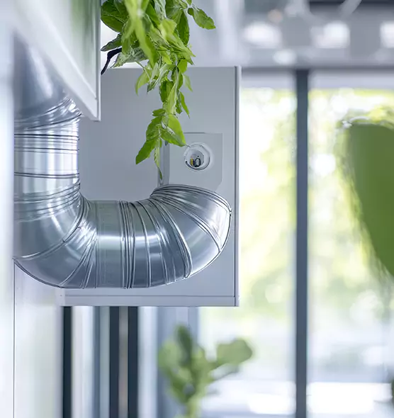 Professional Eco-Friendly Duct Cleaning Services in Dania Beach, FL