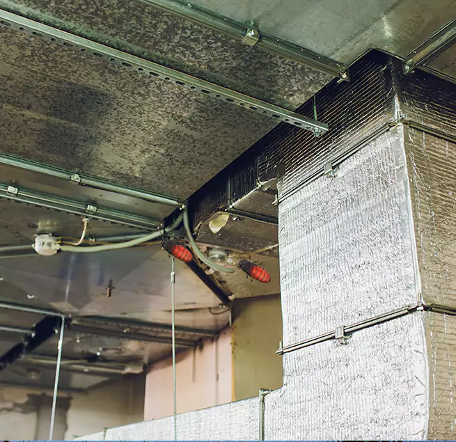 Why Homeowners & Businesses Trust Us in Dania Beach, FL?