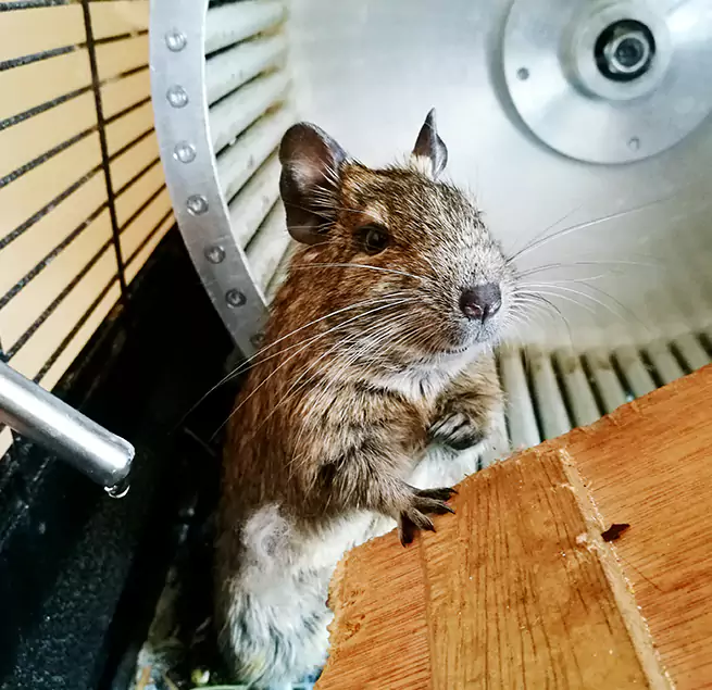 Why Homeowners & Businesses Trust Us Dania Beach, FL