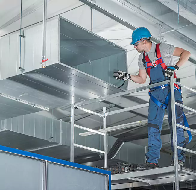 Why Homeowners & Businesses Trust Us in Dania Beach, FL?