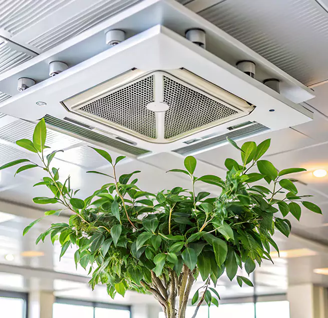 Why Homeowners & Businesses Trust Us in Dania Beach, FL