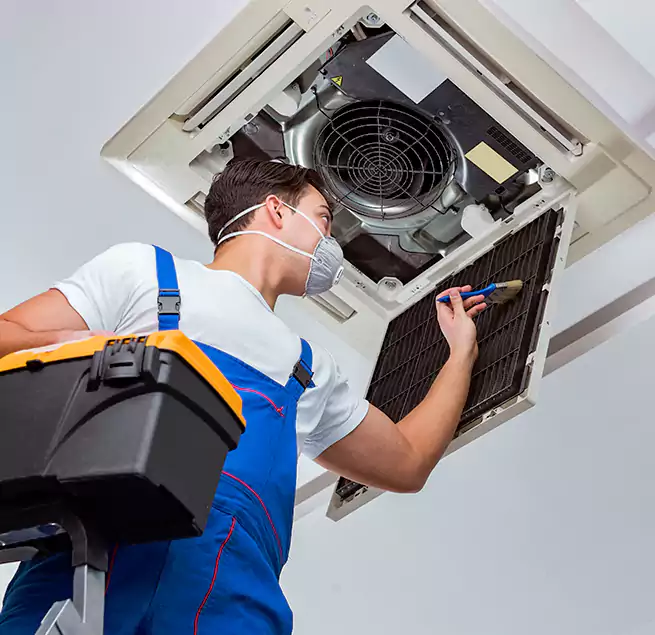 Why Homeowners & Businesses Trust Us in Dania Beach, FL?