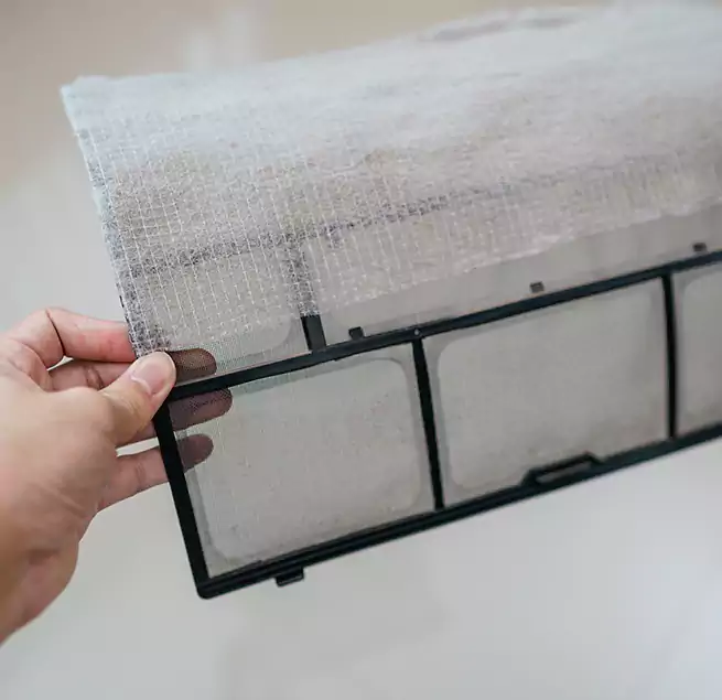 Why Homeowners & Businesses Trust Us in Dania Beach, FL?