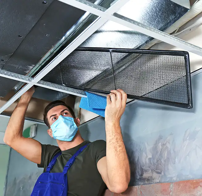 Why Homeowners & Businesses Trust Us in Dania Beach, FL?