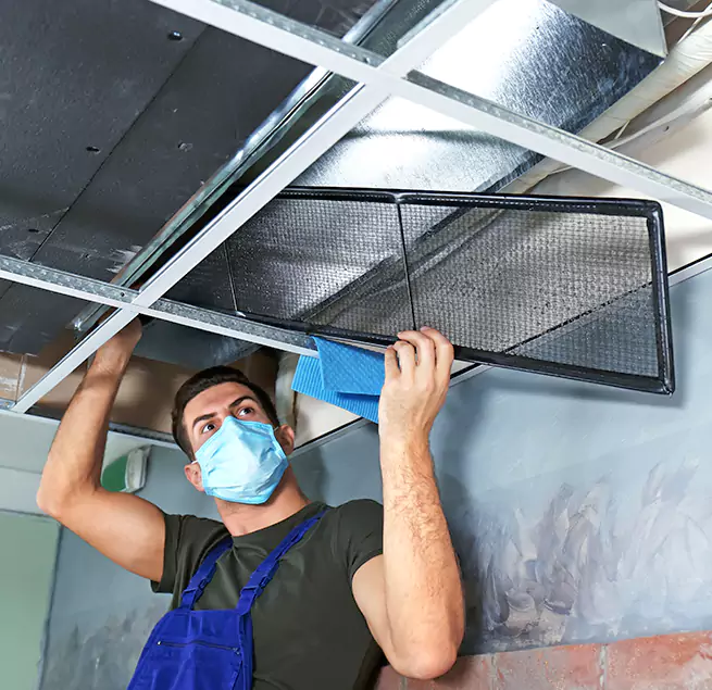 Why Homeowners Businesses Trust Us in Dania Beach, FL?